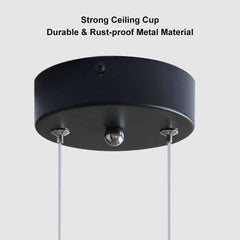 Modern 5-Light Cluster Pendant Chandelier in Black with Glass Shades