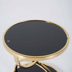 Modern Black Glass Side Table With Stainless Steel Base
