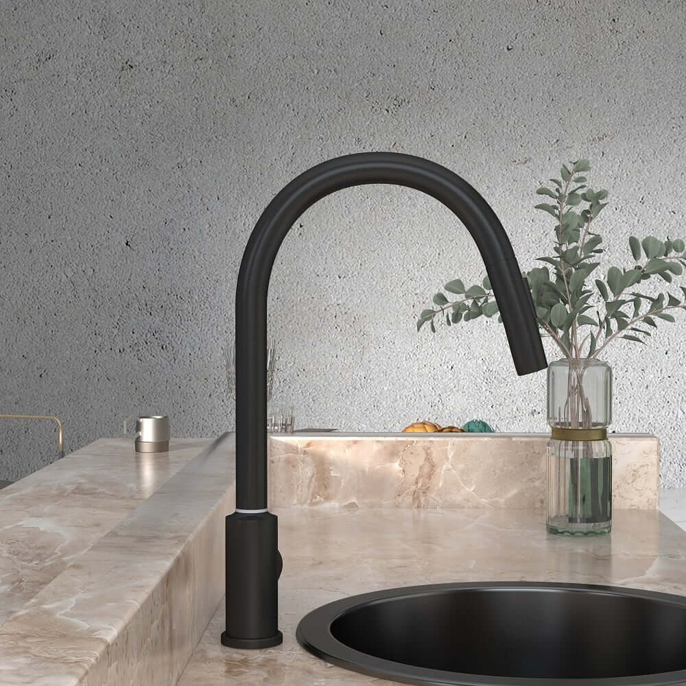 Modern Black Stainless Steel Touch Kitchen Faucet with High Arc Swivel Spout