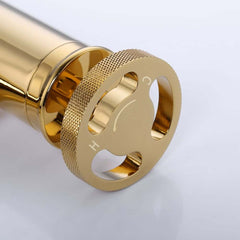 Modern Brass Single Hole Bathroom Faucet with Fixed Spout and Gold Finish
