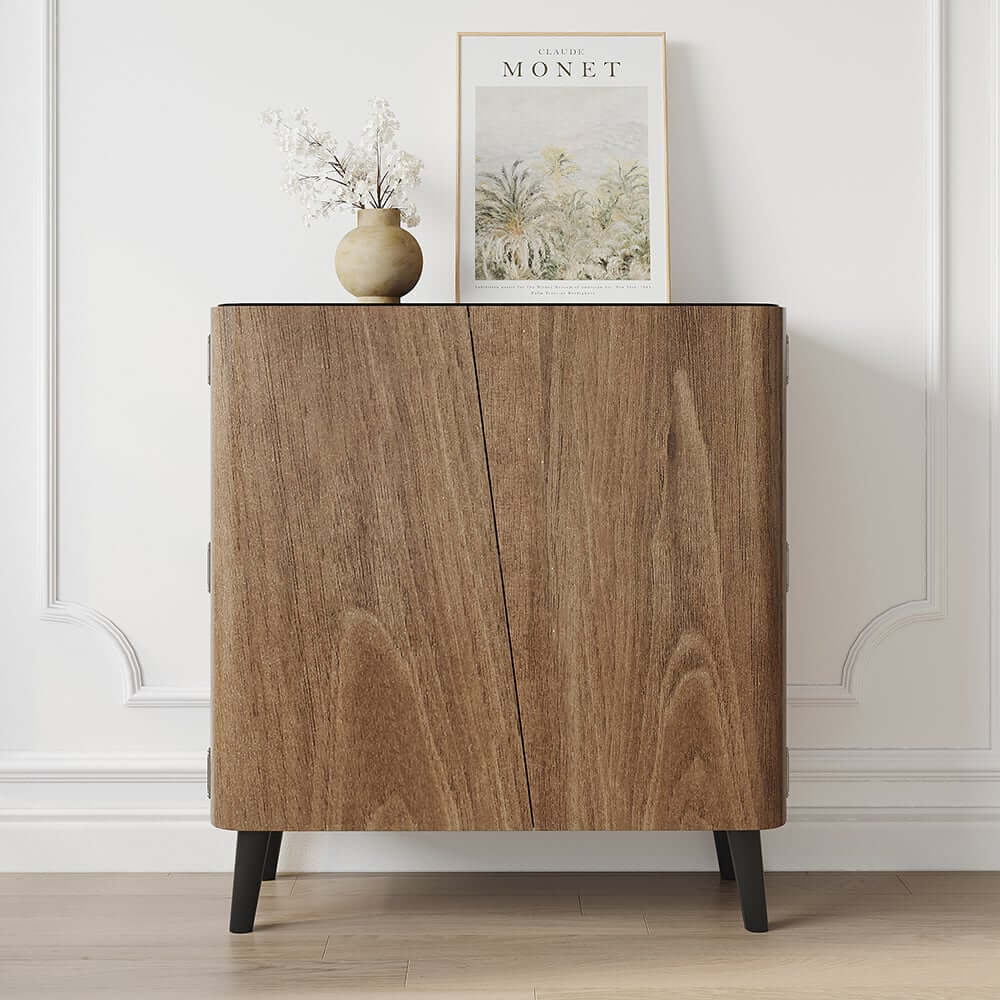 Modern Carbon Steel Shoe Cabinet with Shelves and Doors