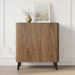 Modern Carbon Steel Shoe Cabinet with Shelves and Doors