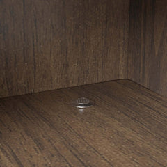 Modern Carbon Steel Shoe Cabinet with Shelves and Doors