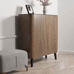 Modern Carbon Steel Shoe Cabinet with Shelves and Doors