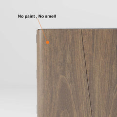 Modern Carbon Steel Shoe Cabinet with Shelves and Doors