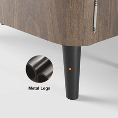 Modern Carbon Steel Shoe Cabinet with Shelves and Doors