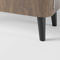 Modern Carbon Steel Shoe Cabinet with Shelves and Doors