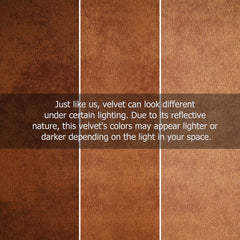 Modern Curved Velvet Sofa With Gold Legs