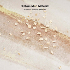 Modern Diatom Mud Bath Mat Set Rectangle Rug for Indoor Use