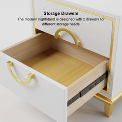 Modern Engineered Wood Nightstand With 2 Drawers