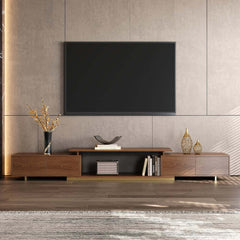 Modern Engineered Wood TV Stand & Coffee Table Set