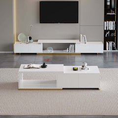 Modern Engineered Wood TV Stand & Coffee Table Set