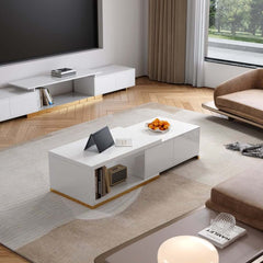 Modern Engineered Wood TV Stand & Coffee Table Set