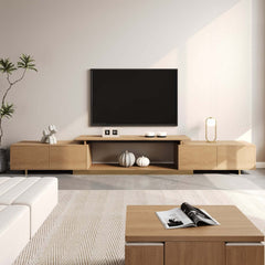 Modern Extendable Stainless Steel TV Stand
