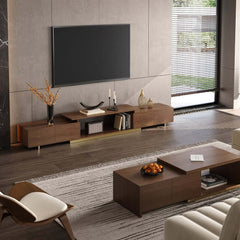 Modern Extendable Stainless Steel TV Stand
