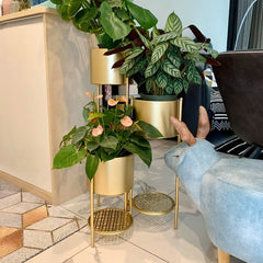 Modern Gold Metal Round Plant Stand with 3-Tier Design
