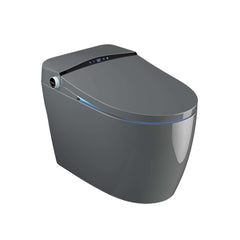 Modern Gray Bidet Toilet with Heated Seat and Automatic Flushing