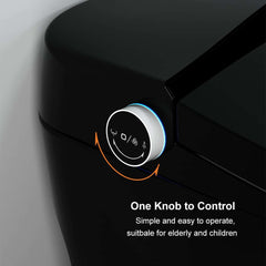 Modern Gray Bidet Toilet with Heated Seat and Automatic Flushing