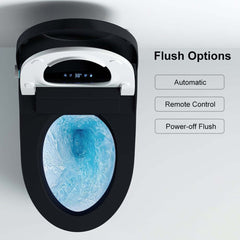 Modern Gray Bidet Toilet with Heated Seat and Automatic Flushing
