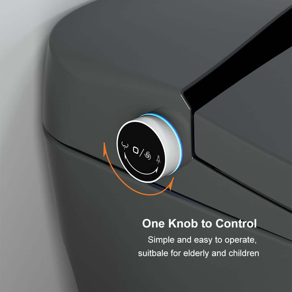 Modern Gray Bidet Toilet with Heated Seat and Automatic Flushing