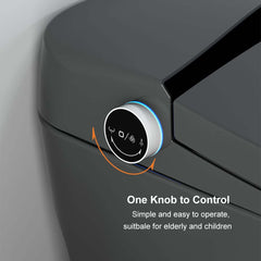 Modern Gray Bidet Toilet with Heated Seat and Automatic Flushing