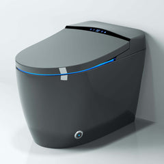 Modern Gray Bidet Toilet with Heated Seat and Automatic Flushing