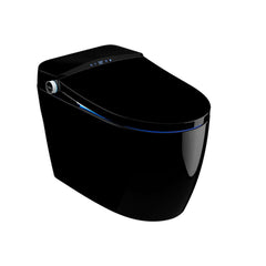 Modern Gray Bidet Toilet with Heated Seat and Automatic Flushing