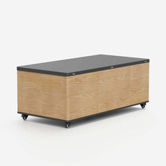 Modern Lift-Top Coffee Table With Storage & Wheels