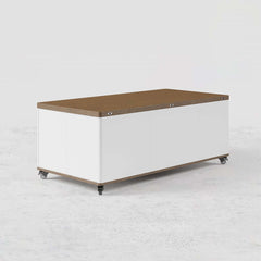 Modern Lift-Top Coffee Table With Storage & Wheels