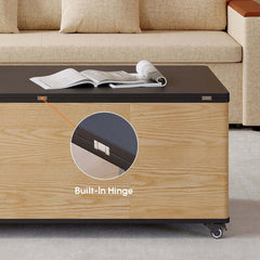 Modern Lift-Top Coffee Table With Storage & Wheels