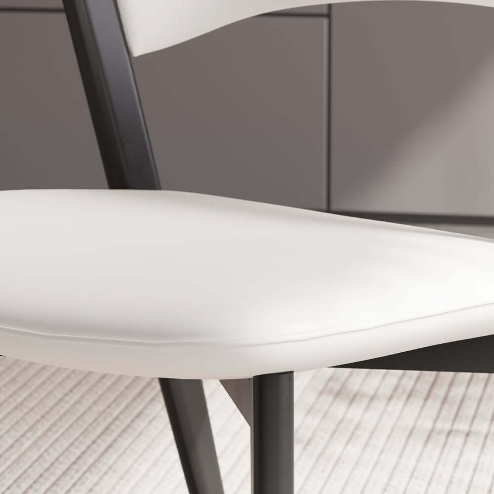 Modern Off-White Metal Frame Dining Chairs Set of 2