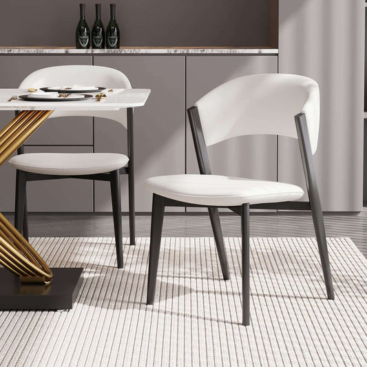 Modern Off-White Metal Frame Dining Chairs Set of 2 Main Product Image