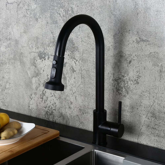 Modern Pullout Spray Kitchen Faucet in Matte Black Brass