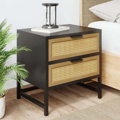 Modern Rattan Nightstand With Metal Frame And 2 Drawers