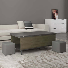 Modern Rectangular Coffee Table With Lift-Top And Stools