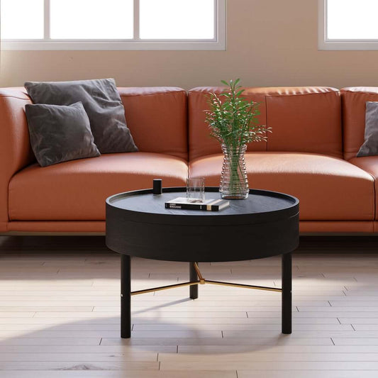 Modern Round Coffee Table With Hidden Storage, Black