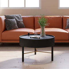 Modern Round Coffee Table With Hidden Storage, Black