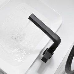 Modern Single Handle Pull-Out Bathroom Faucet in Black