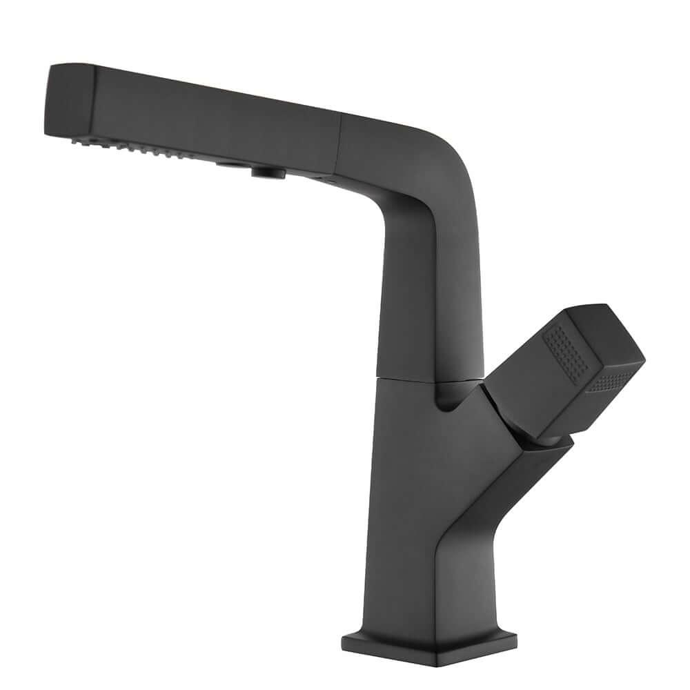 Modern Single Handle Pull-Out Bathroom Faucet in Black
