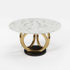 Modern Sintered Stone Dining Set With Gold Pedestal Base