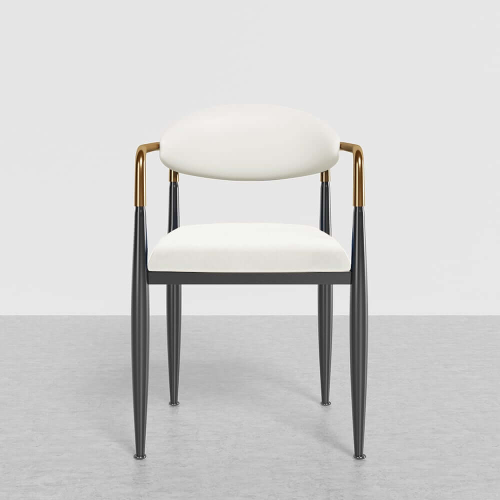 Modern Velvet Arm Chair Set - Solid Back, Metal Legs
