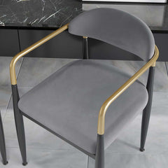 Modern Velvet Arm Chair Set - Solid Back, Metal Legs