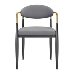 Modern Velvet Arm Chair Set - Solid Back, Metal Legs