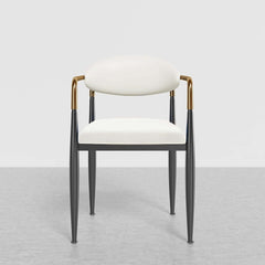 Modern Velvet Arm Chair Set - Solid Back, Metal Legs