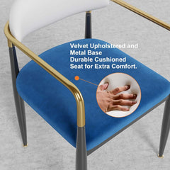 Modern Velvet Arm Chair Set - Solid Back, Metal Legs