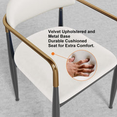 Modern Velvet Arm Chair Set - Solid Back, Metal Legs