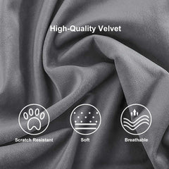 Modern Velvet Arm Chair Set - Solid Back, Metal Legs