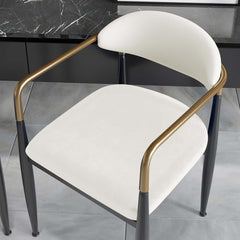 Modern Velvet Arm Chair Set - Solid Back, Metal Legs