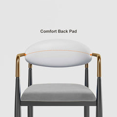 Modern Velvet Arm Chair Set - Solid Back, Metal Legs