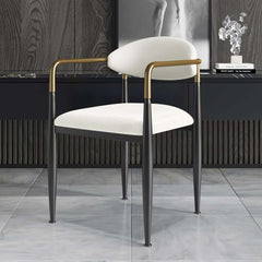 Modern Velvet Arm Chair Set - Solid Back, Metal Legs